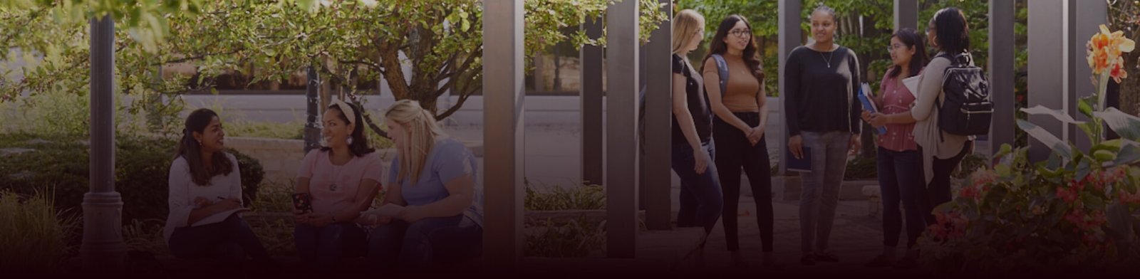 Explore Top Engineering & MBA Colleges in India